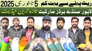 Sunday birds market lahore 2025 | sunday birds market latest update