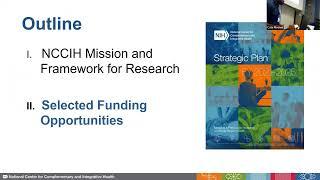 Natural Product Research: Overview of Funding Opportunities at the NCCIH