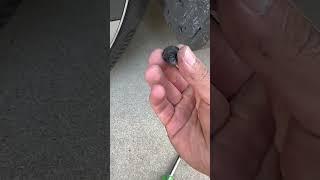 How to remove screws for mud flaps #teslay #modely #tesla #tesla2023 #mudflaps #automobile