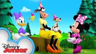 Clarabelle's Kitty | Minnie's Bow-Toons   | @disneyjr