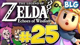 Lets Play Zelda Echoes of Wisdom - Part 25 - Faron Wetlands