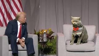 Cat Interviews Trump