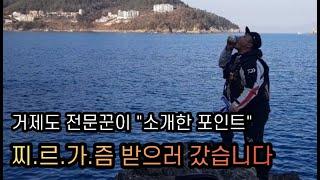 거제도 전문꾼을 따라서 감성돔낚시 찌르가즘 느끼러 가봤습니다