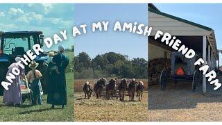 Visiting My Amish Friends Farm, Again!