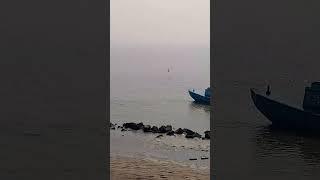 They are Escaping  Sand in traditional way.  #sealife #workout #sand #river #meghna_river #viral