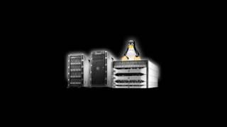 top managed dedicated hosting company's