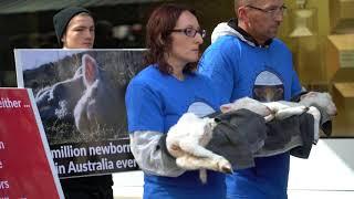 'Who Silenced The Lambs?' - Melbourne, 9 September 2017 (short version)