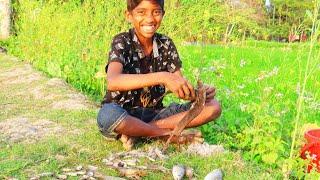 Fish Cutting In Bangladesh 