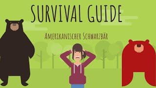 Survival Guide: Amerikanische Schwarzbär | Verklickern Erklärvideo