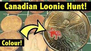 Coin Roll Hunting $1000 in Canadian $1 Loonies: Colourized Loonie!