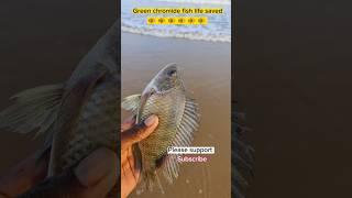 Rescue completed, green chromide fish life saved today #trending #ytshorts #respect #viralvideo