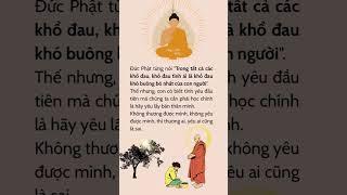 Phật #loiphatday #loivangphatdaythichphaphoa #phongthuy #trietlysong #phậtpháp #baihoccuocsong