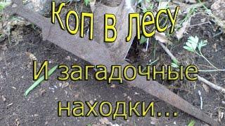 коп в лесу