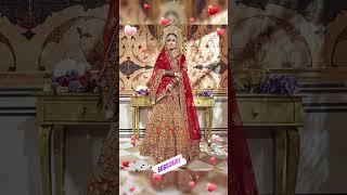 Latest bridal lehenga design by vibhus Collection #shorts #youtubeshorts #viralvideo#viral #ytshorts