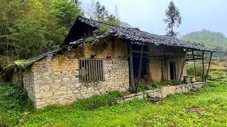 After Divorce, Single Woman Builds a Bamboo House in Mountain and Transforms the Garden for New Life