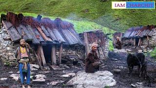 Himalayan Village Life |Nepal |Dolpa | Shepherd Food | himalayan Shepherd Life | Real Nepali Life