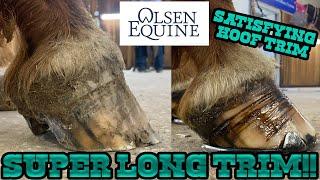 SUPER LONG FOOT - SATISFYING TRIM!