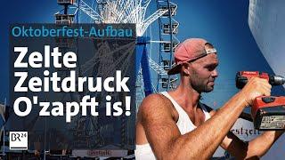 Härtetest Oktoberfest-Aufbau: in 10 Wochen zur fertigen Wiesn | Abendschau Reportage | BR24