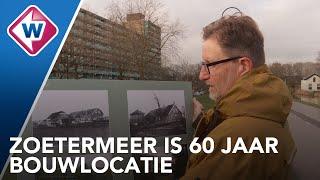 Zoetermeer viert 60-jarig bestaan als stad: 'In het begin meer koeien dan mensen' - OMROEP WEST