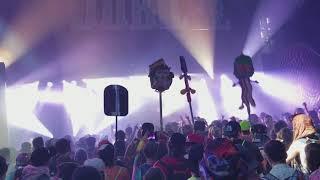 Minnesota- Broccoli Remix (Electric Forest 2017)