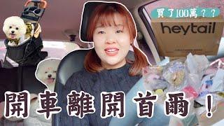 韓國的日常  2人2犬壓力好大 韓國最大的寵物展！ 想在韓國買車？ 買超過100萬！戰利品開箱 l Cher is chercher