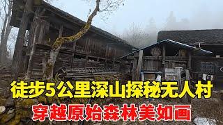 探秘贵州深山里的无人村，穿越原始森林美如画，真正的世外秘境！【乡村阿泰】