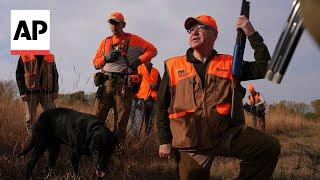 Tim Walz opens pheasant season hunting in Minnesota