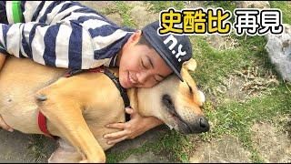 【昆蟲擾西家】最大最可愛的高山犬史酷比 我會很想很想你