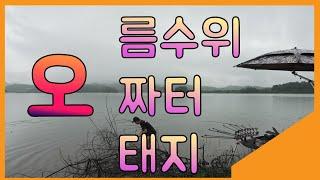 오오오! 오름수위는 오짜터 오태지로 가거라! / 붕어낚시 / carp fishing