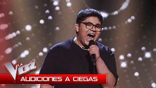 Alan Brizuela - "A song for you" | Blind auditions | The Voice Antena 3