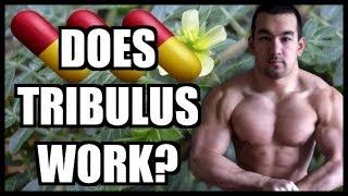 Tribulus Review - Does Tribulus Work?