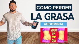 Cómo Eliminar La Grasa Abdominal En Una Sola Noche  