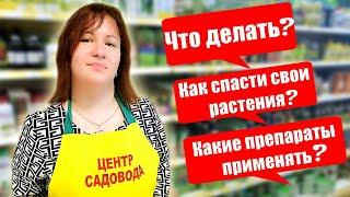 Центр Садовода ОТВЕЧАЕТ на ВОПРОСЫ покупателей!