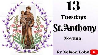 13 Tuesdays St. Anthony Novena (English) # Fr. Nelson Lobo OFM Cap