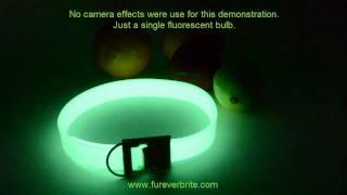 Furever Brite Safety Collar - Glowing Fruits