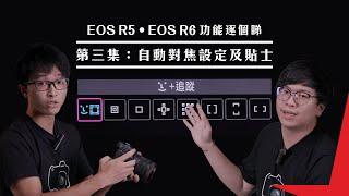 EOS R5 ‧ EOS R6 功能逐個睇｜第三集：自動對焦設定及貼士