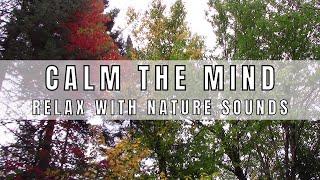 Calm The Mind - Relax with Nature Sounds