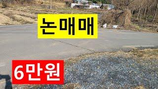 NO, 488  충남서천군판교면판교리. 논매매 6만