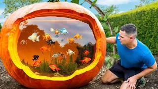 I Turned A Pumpkin Into A Fish Aquarium