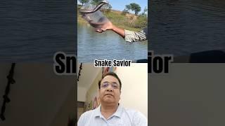 Caught on Camera: Brave Snake Rescue #snake #animals #wildliferescue #wildanimals