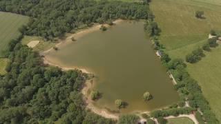 The Carp Specialist - Le Taillis des Landes