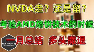 美股 NVDA走？还是留？考验AMD烙饼技术的时候到了！一月收关总结！