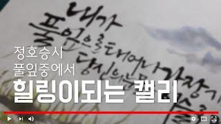 [캘리그라피] 정호승 시의 풀잎 중에서