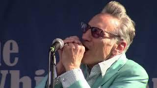 Rick Estrin & The Nightcats - Off the Wall/The Main Event