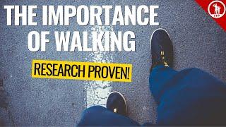 The Importance Of Walking → Improve Your Overall Health