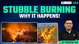 Stubble Burning: Why Farmers Set Fields on Fire Every Year?