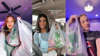 Dollar tree haul tiktok