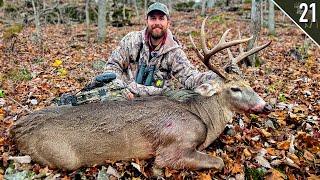 BIG WOODS BUCK with a BOW!!! - (Missouri Public Land)