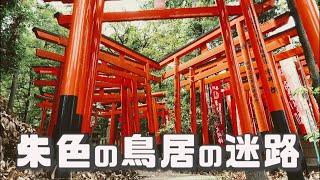 朱色の鳥居の迷路　東伏見稲荷神社　西東京市・東京寺社仏閣巡り