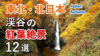 12 Best Views of Autumn Foliage in Valleys of Tohoku region / Beautiful Scenery of Japan [ 4K ]